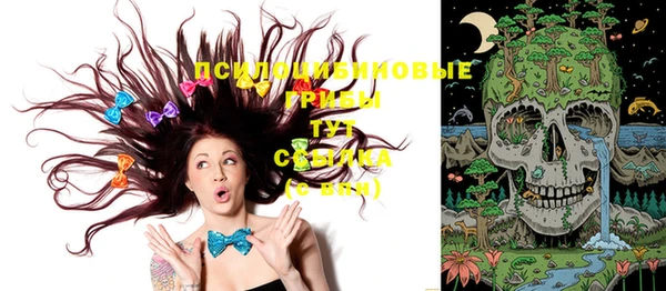 дмт Белокуриха