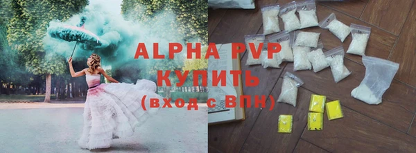дживик Ельня