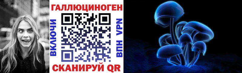наркошоп  Черняховск  Галлюциногенные грибы мицелий 